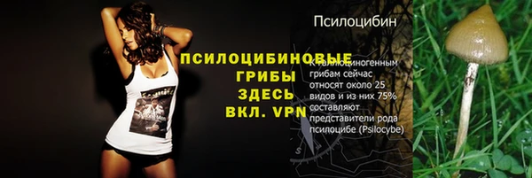 прущие грибы Алзамай