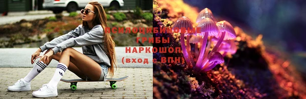 прущие грибы Алзамай