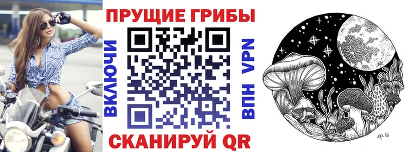 Псилоцибиновые грибы GOLDEN TEACHER  купить наркотики цена  Куртамыш 